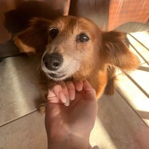 Meet your Posher, Chloe